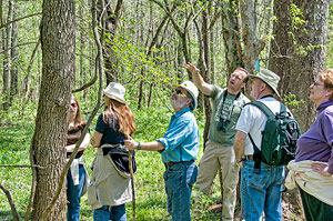 Tour Group